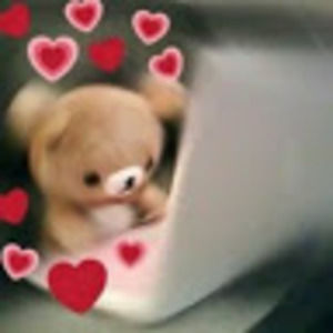 Meet your Posher, Moon